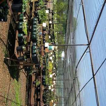 The Mustard Seed Landscaping & Garden Center - Nurseries & Gardening Near Me - Chaska, Minnesota