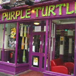 Purple Turtle
