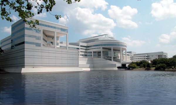 Greiner Maltz Risk Management LLC