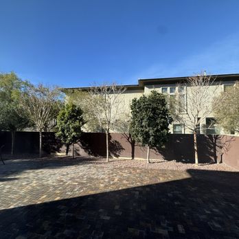 Nx Level Landscaping - Pavers and all trees in photo - Landscaping Near Me