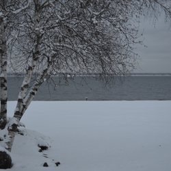 Lanzi's On The Lake Restaurant & Marina