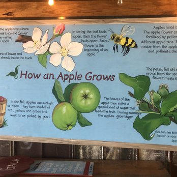 Sky Top Orchard - Pick Your Own Farms Near Me - Zirconia, North Carolina