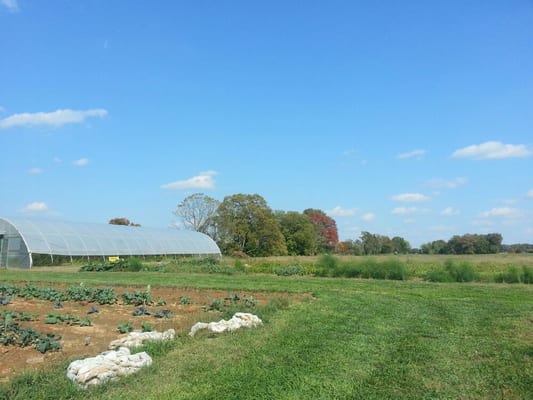 Foxhollow Farm by null