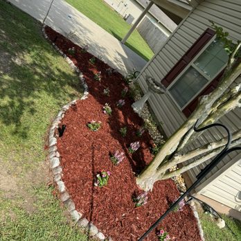 Healthy Roots - Landscaping Near Me