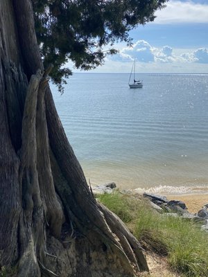 Point Lookout State Park by null