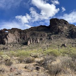 Organ Pipe Cactus National Monument