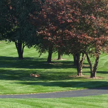 Kloosterman Landscaping - a lawn with trees and mailboxs - Snow Removal Near Me - Caledonia, Michigan Kloosterman Landscaping - a lawn with trees and mailboxs - Snow Removal Near Me - Caledonia, Michigan