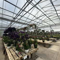 Vilt's Greenhouse