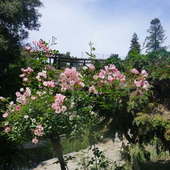 The Berkeley Rose Garden - Botanical Gardens Near Me - Berkeley, California