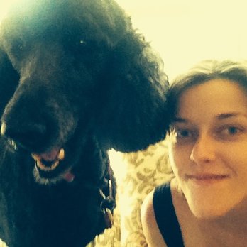Highland Pet Sitting - Pet Sitting Near Me