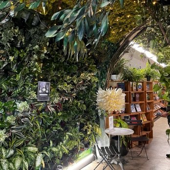 Lost Books - Entryway of Lost Books - Vinyl Records Near Me - Montrose, California