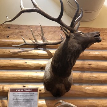 Rocky Mountain Elk Foundation - Museums Near Me - Missoula, Montana Rocky Mountain Elk Foundation - Museums Near Me - Missoula, Montana