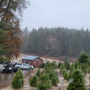 Loch Lolly Christmas Forest - The way to Santa's barn - Nurseries & Gardening Near Me - North Plains, Oregon Loch Lolly Christmas Forest - The way to Santa's barn - Nurseries & Gardening Near Me - North Plains, Oregon