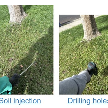 Pro Active Pest Control - Pest Control Near Me Pro Active Pest Control - Pest Control Near Me