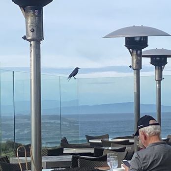 Roy's at Pebble Beach - A Raven, staying for the view. - Asian Fusion Near Me - Pebble Beach, California Roy's at Pebble Beach - A Raven, staying for the view. - Asian Fusion Near Me - Pebble Beach, California