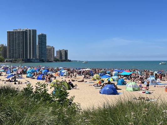 Kathy Osterman Beach House at Hollywood Beach by null