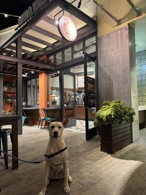 World Wrapps by null