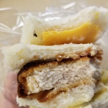 Kiki Bakery & Cafe - Fly in sandwich ???!!!!! - Bakeries Near Me - Seattle, Washington Kiki Bakery & Cafe - Fly in sandwich ???!!!!! - Bakeries Near Me - Seattle, Washington