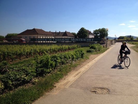Château de Chassagne-Montrachet by null