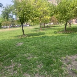 Park