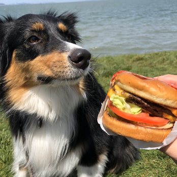 In-N-Out Burger - Don't forget to order a puppy patty for you doggo! - Fast Food Near Me - Millbrae, California