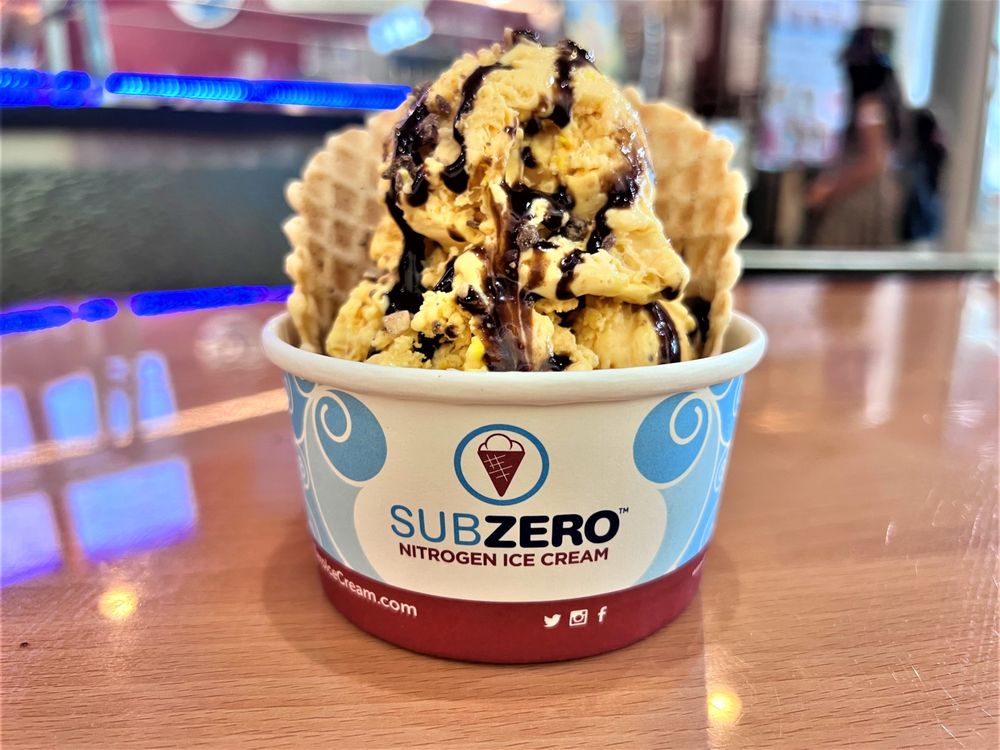 SUB ZERO ICE CREAM Updated April 2024 1570 Bridge Rd, Roswell, Ice Cream