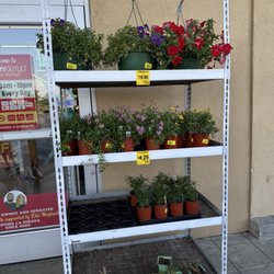 Grocery Outlet