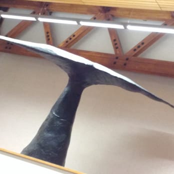 Egan Library - Libraries Near Me - Juneau, Alaska