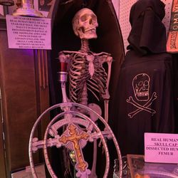 Anatomy of Death Museum