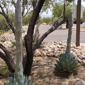 Kartchner Caverns State Park - Parks Near Me - Benson, Arizona Kartchner Caverns State Park - Parks Near Me - Benson, Arizona