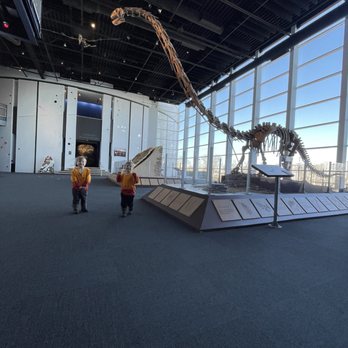 Adventure Science Center - Dinosaur - Museums Near Me - Nashville, Tennessee