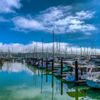 Sausalito Yacht Harbor gift card