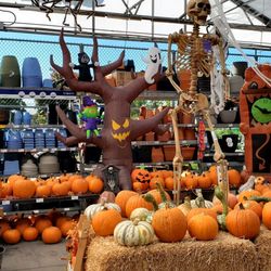 Lowe's Home Improvement - Spooky  Pumpkin Patch