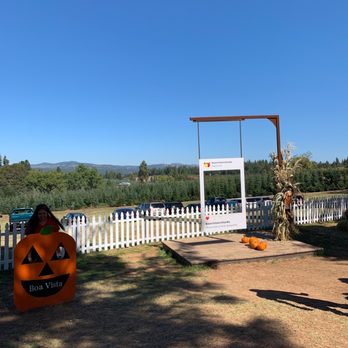 Boa Vista Orchards - The scene - Fruits & Veggies Near Me - Placerville, California