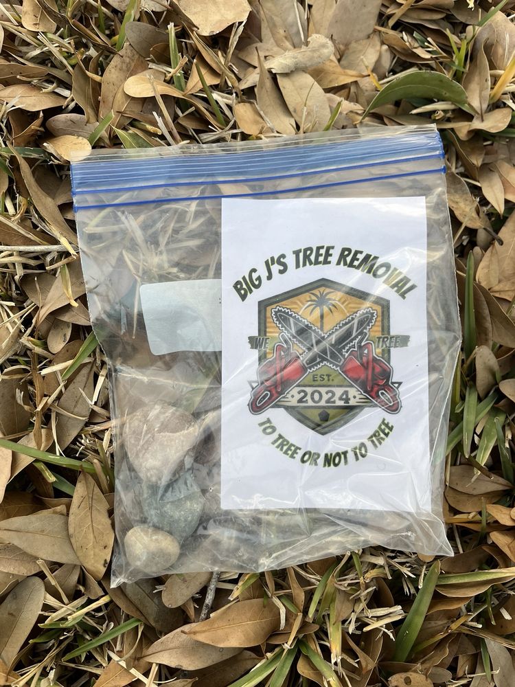 Big Js Tree Removal and services - tree service in Jacksonville, FL