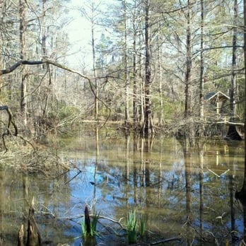 Northlake Nature Center - Parks Near Me - Mandeville, Louisiana Northlake Nature Center - Parks Near Me - Mandeville, Louisiana
