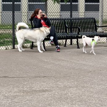 Ward Dog Friendly Area - Dog Parks Near Me - Chicago, Illinois