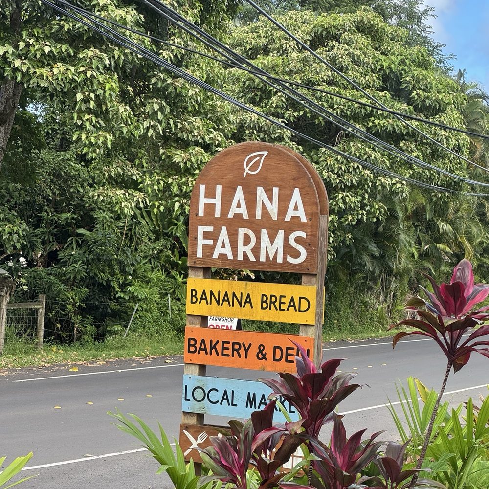 Valley Isle Excursions - Historical Tours Near Me - Wailuku, Hawaii