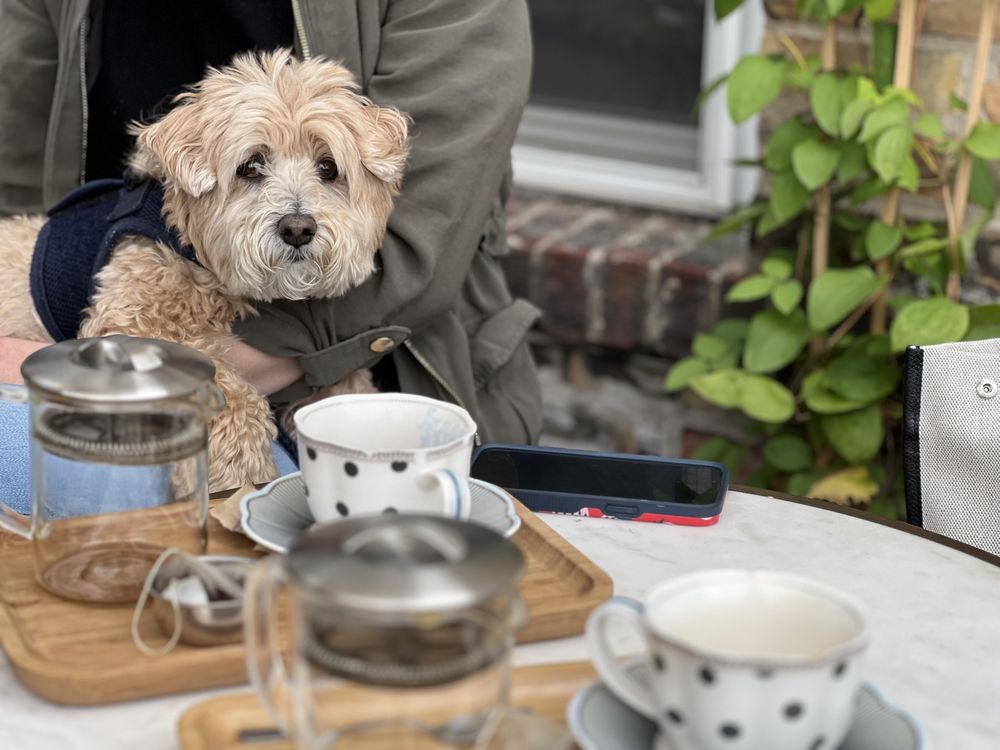 Central Station Coffee & Tea