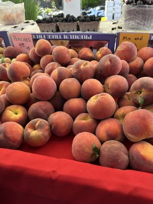 Tamarack Junction Farmers Market by null