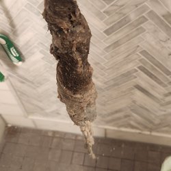Thumbs Up Rooter And Plumbing - Have a clog shower? Drainage specilaist clear all drains .