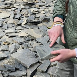 Yoho National Park - At Walcott quarry, a Parks Canada fossil for one of our great ancestors (Pikaia gracilens).