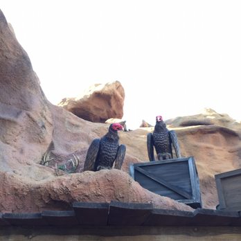 Calico Mine Ride - Vultures - Amusement Parks Near Me - Buena Park, California Calico Mine Ride - Vultures - Amusement Parks Near Me - Buena Park, California