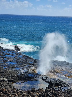 Spouting Horn by null