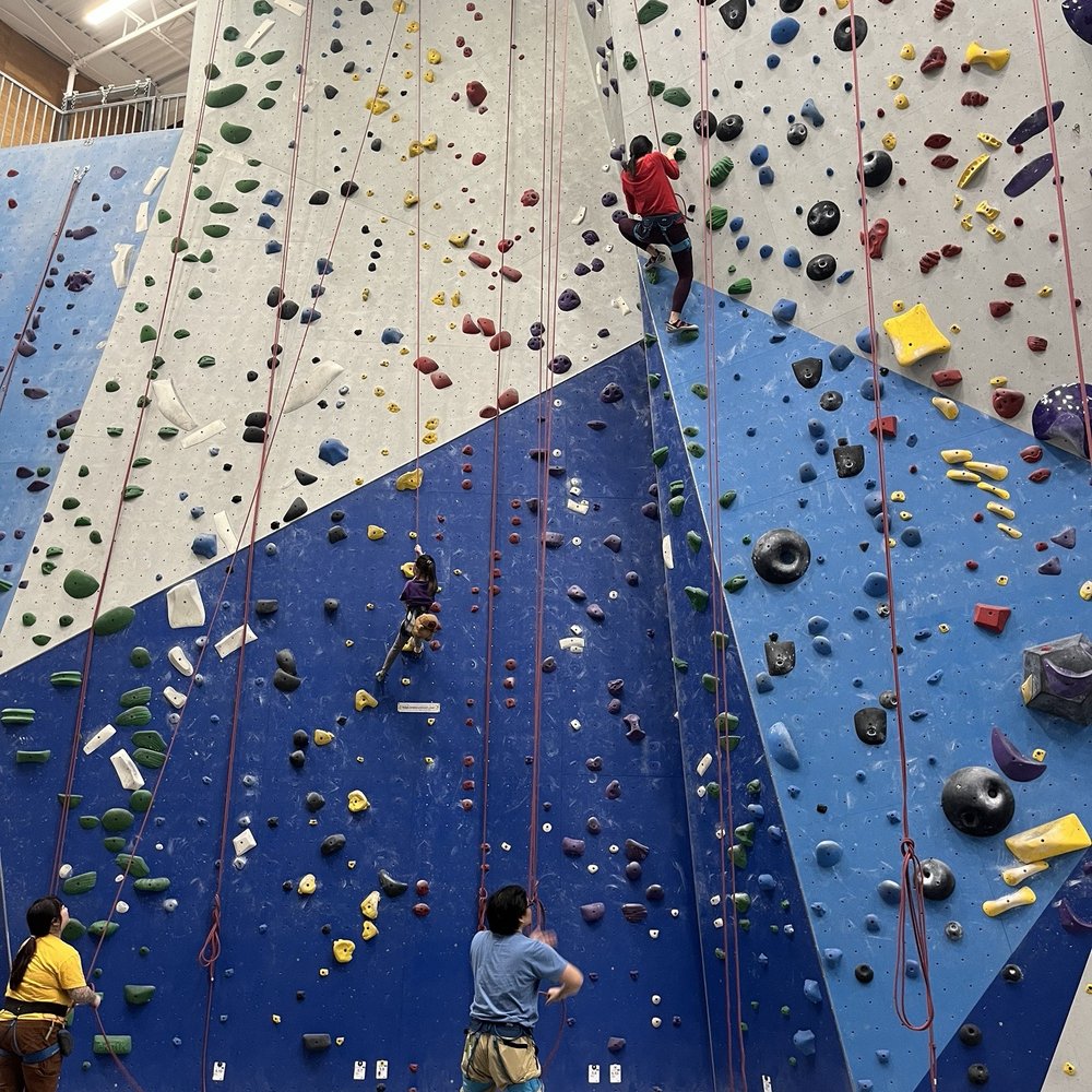 Edgeworks Climbing - Bellevue - Climbing Near Me - Bellevue, Washington Edgeworks Climbing - Bellevue - Climbing Near Me - Bellevue, Washington