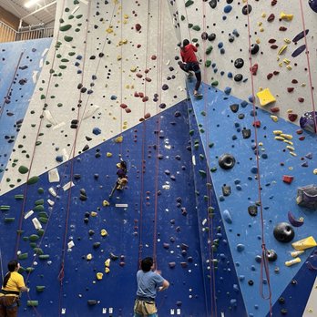 Edgeworks Climbing - Bellevue - Climbing Near Me - Bellevue, Washington Edgeworks Climbing - Bellevue - Climbing Near Me - Bellevue, Washington