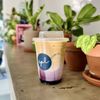 SPL Coffee gift card