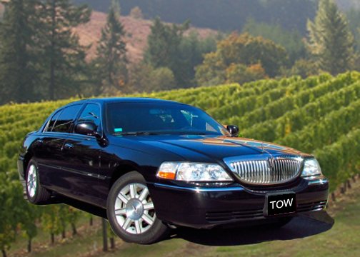 Tour Oregon Wines - vineyard in Tigard, OR