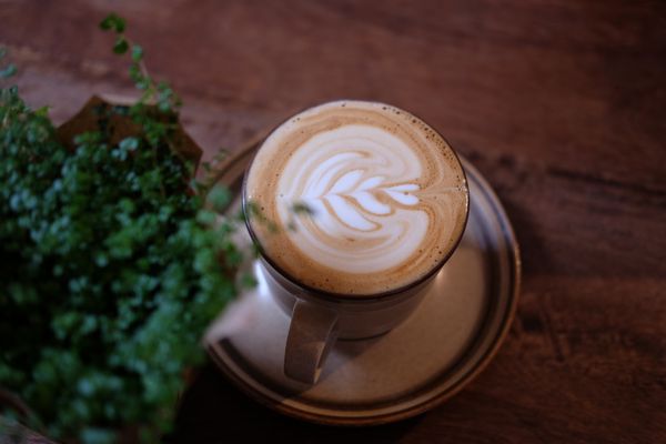 Rustle & Still Café by null