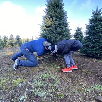 Bob'z U Cut - Cutting it down :) - Tree Services Near Me - Estacada, Oregon
